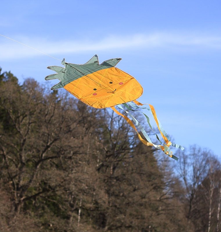 Jabadabado Drache / Ananas 