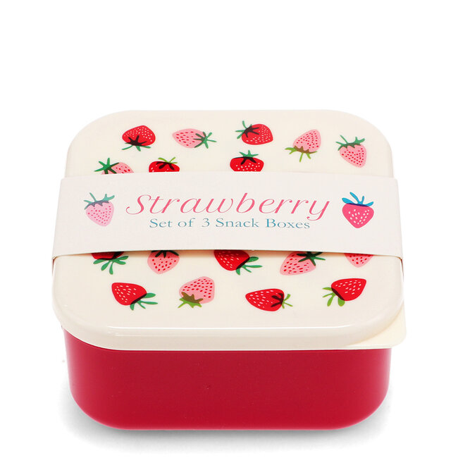 Rex London Brot- und Snackdosen 3er Set Erdbeeren