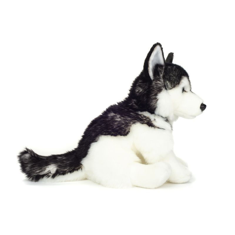 Teddy Hermann Husky Hund sitzend 30