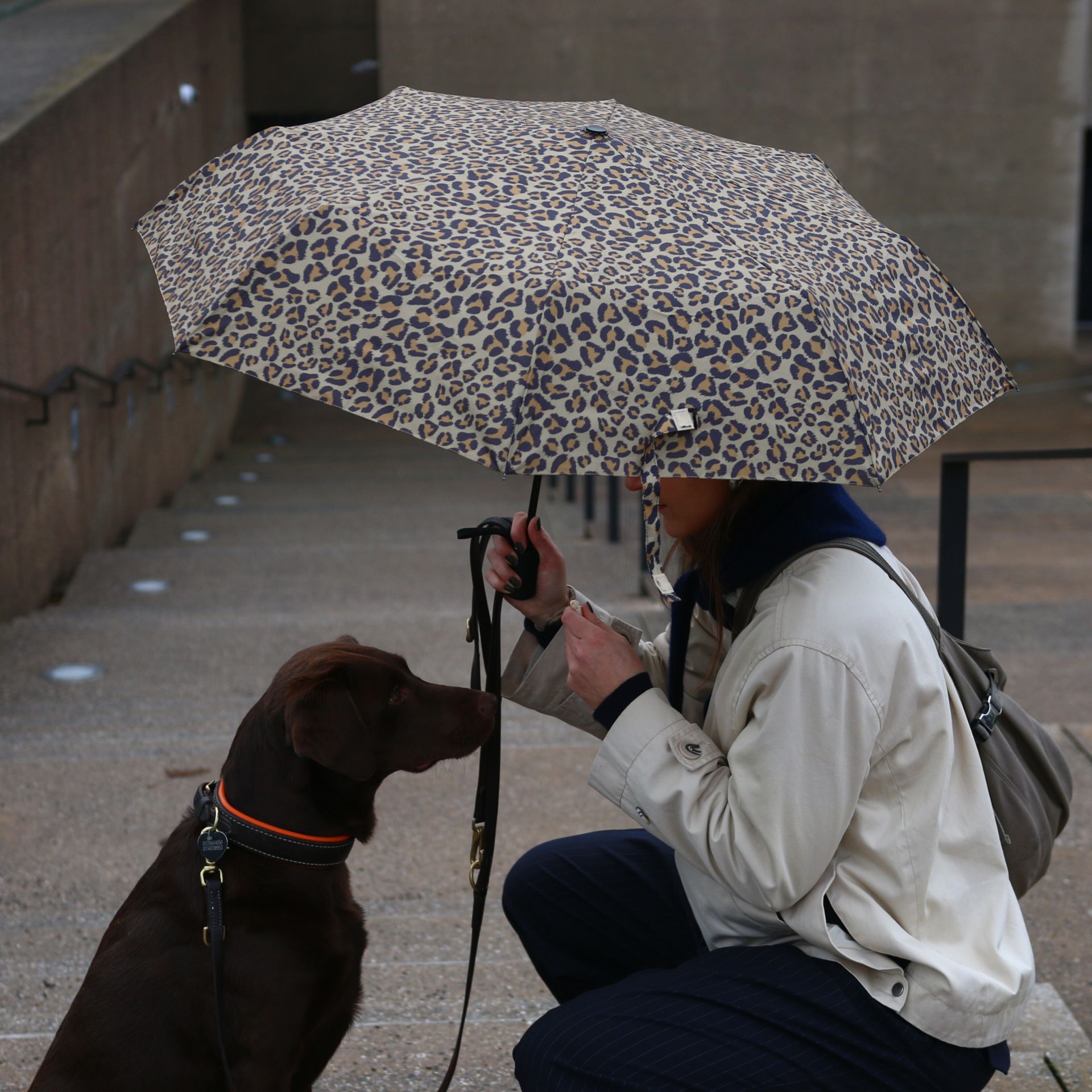 Cedon Easy Umbrella – Regenschirm Leo