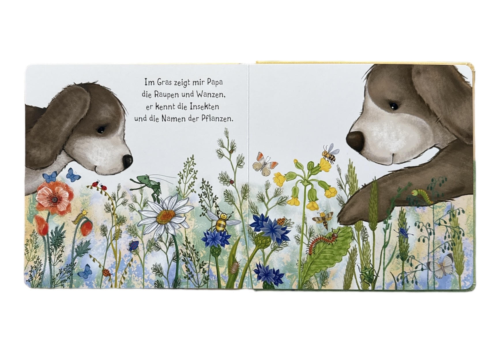 Jellycat Buch Hündchen Schnuck und sein Papa